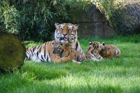 Alexa mit ihren Kindern im Zoo Hannover