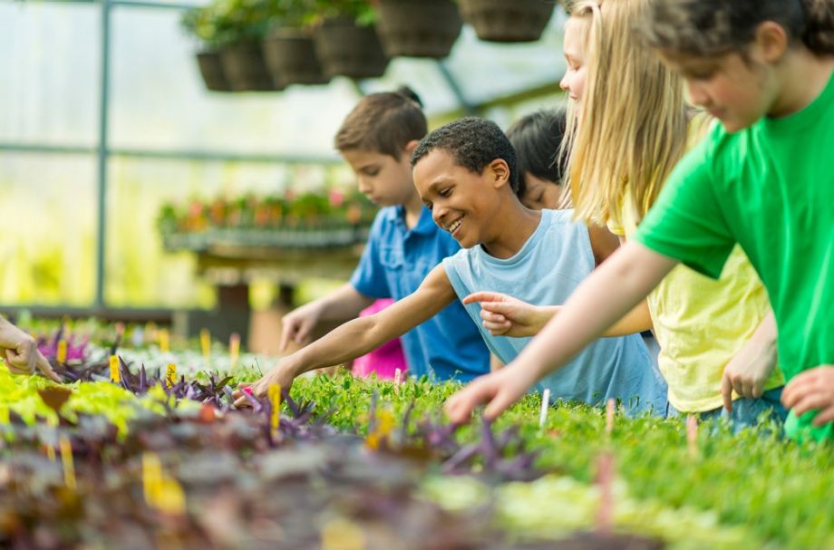 Kinder stehen an einem Pflanzenbeet und setzen junge Pflanzen ein.