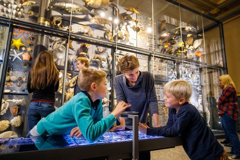 Kinder im Museum für Naturkunde Berlin