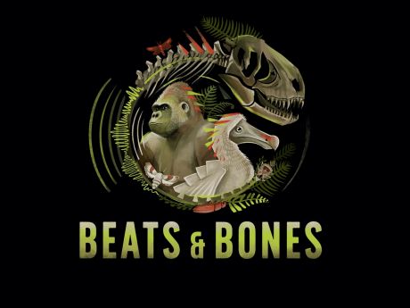 Podcast Beats and Bones Museum fuer Naturkunde